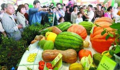 【关注】廊坊与农交会的21次携手:1998-2017_财经_网