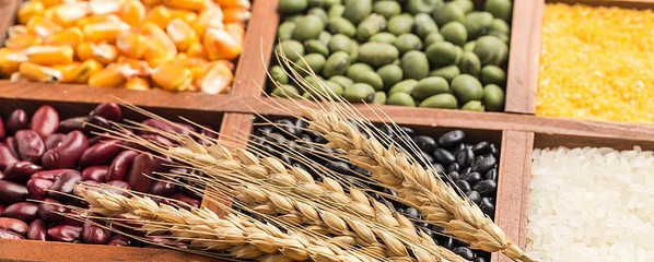 境外农产品大宗择时(21.11.22)