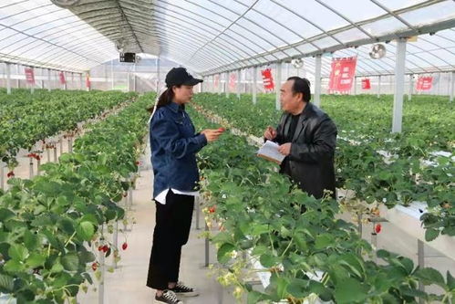 东海帕蒂亚 打造国际庄园品牌，引领农产品高端化新篇章