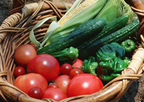 质量兴农，安全先行——筑牢农产品安全防线是实现乡村振兴的必由之路