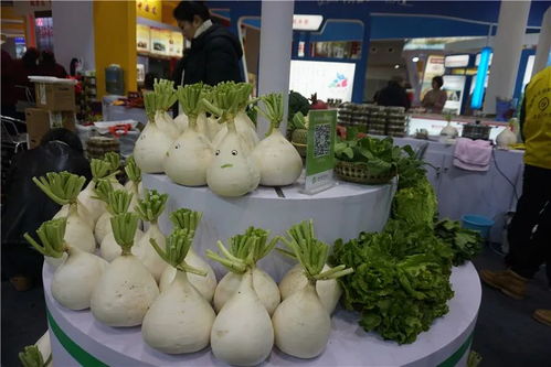 大足优质农产品亮相西部农交会，助力区域品牌升级